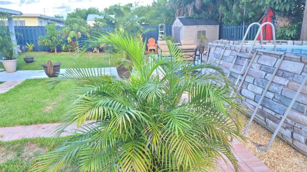 Palm Springs 3-Bedroom 2-Bath 5 Miles To The Beach Lake Worth Beach Eksteriør bilde